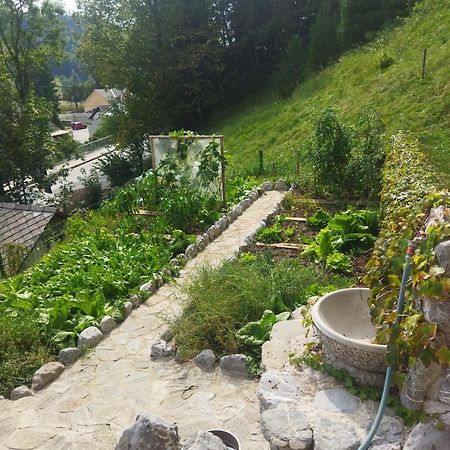 Natur Apartma Rudi Begunje na Gorenjskem Esterno foto