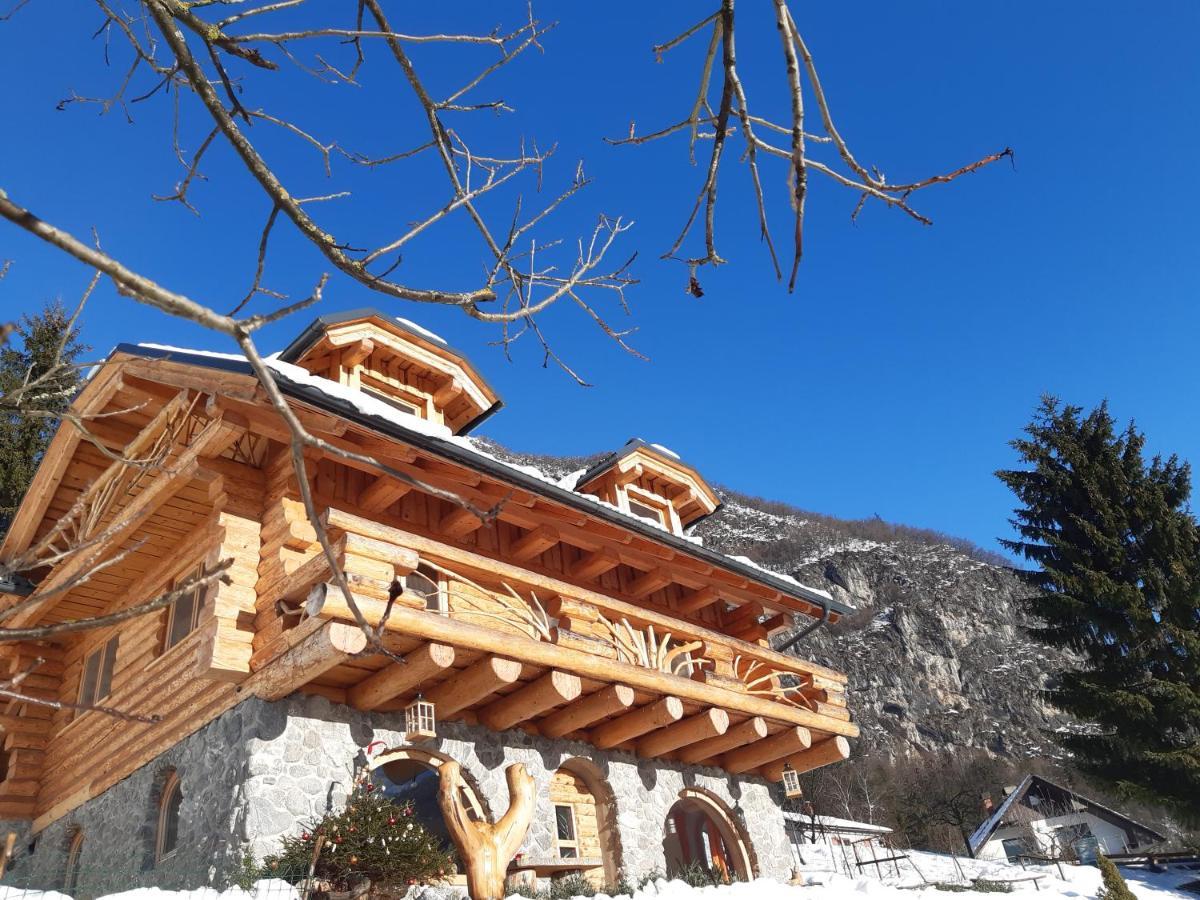 Natur Apartma Rudi Begunje na Gorenjskem Esterno foto