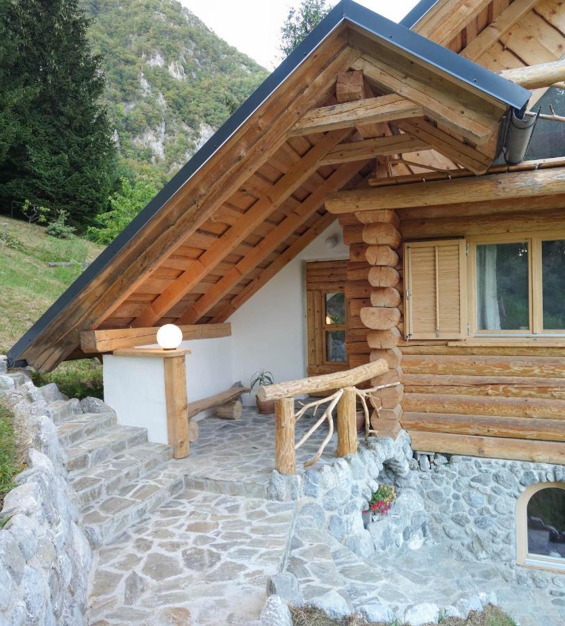 Natur Apartma Rudi Begunje na Gorenjskem Esterno foto