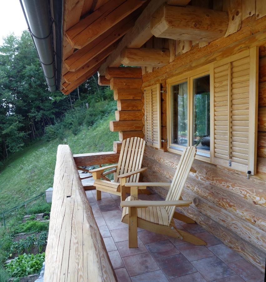 Natur Apartma Rudi Begunje na Gorenjskem Esterno foto
