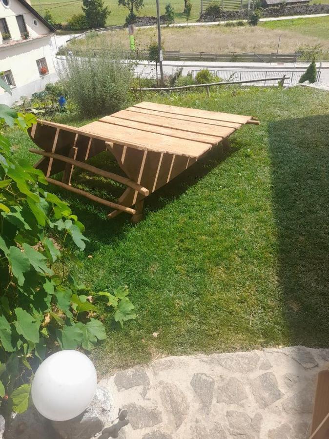 Natur Apartma Rudi Begunje na Gorenjskem Esterno foto