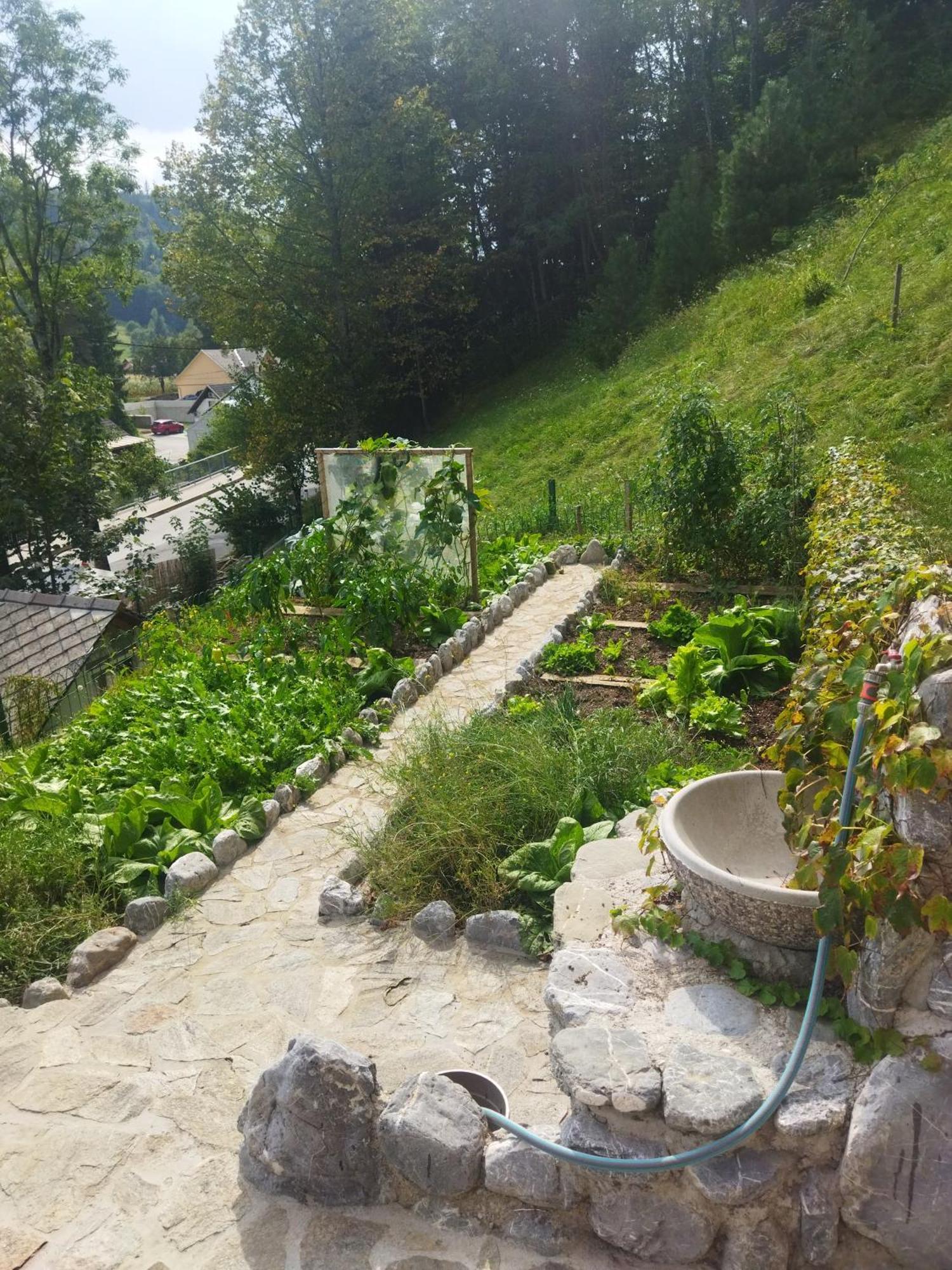 Natur Apartma Rudi Begunje na Gorenjskem Esterno foto